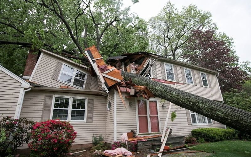 What to Do if Your House Sustains Storm Damage